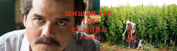 амф Михайловск