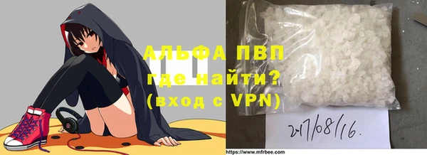 гидра Михайловка