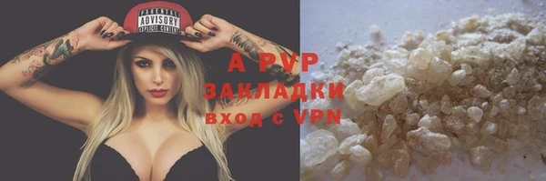 гидра Михайловка