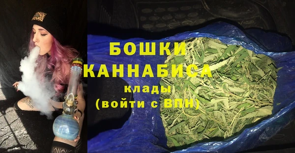 сатива Михайлов