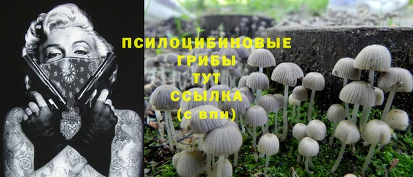 сатива Михайлов