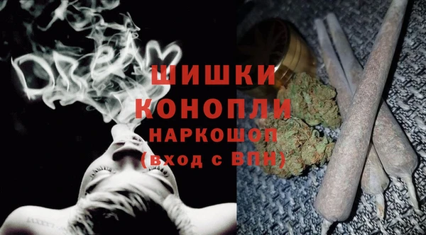 сатива Михайлов