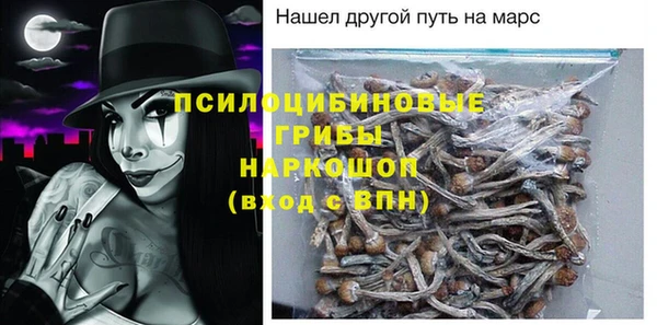сатива Михайлов